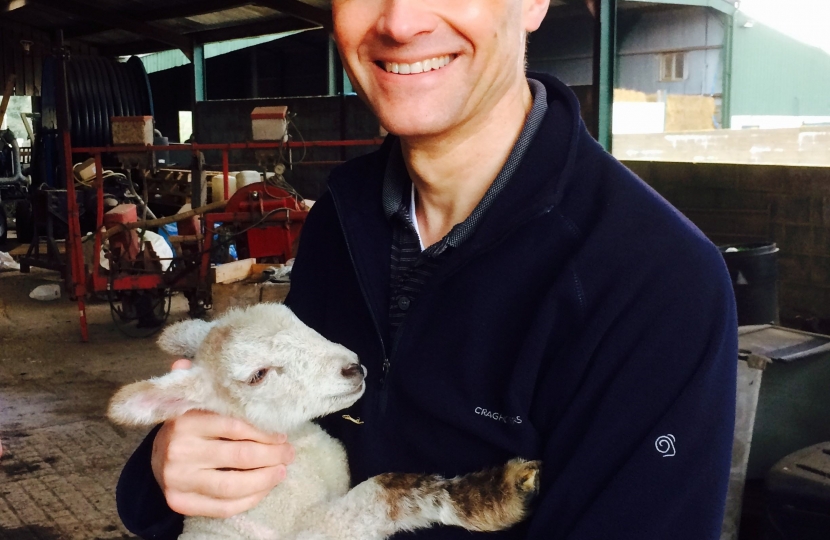 Mark with a lamb