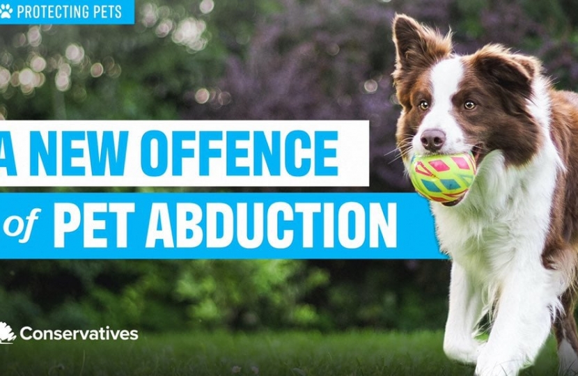 A New Offence of Pet Abduction