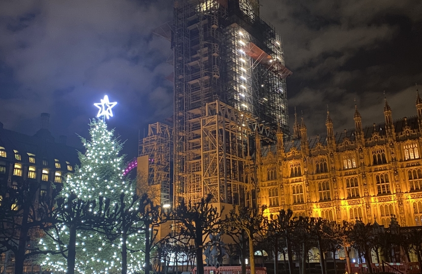 House of Commons Christmas Tree