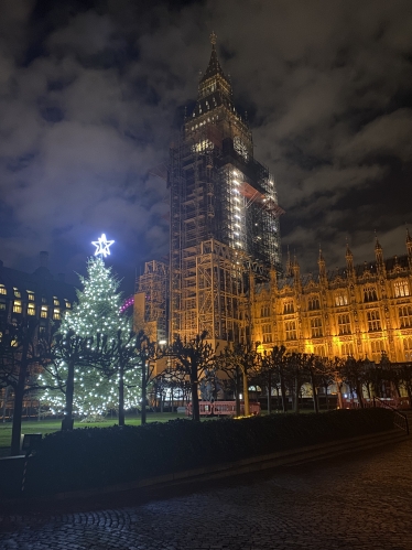 House of Commons Christmas Tree
